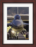 Framed General Dynamics F-16 Falcon Jet Fighter Nose