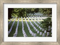 Framed Arlington National Cemetery Arlington Virginia USA