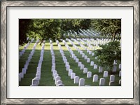 Framed Arlington National Cemetery Arlington Virginia USA