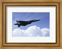 Framed U.S. Air Force F-15