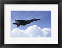 Framed U.S. Air Force F-15