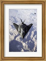 Framed US Air Force F-117 Stealth Fighter