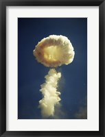 Framed Mushroom cloud formed bomb testing