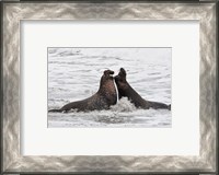 Framed Alpha Seals