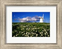 Framed Ballycopeland Windmill, Millisle, Northern Ireland