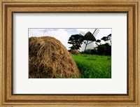 Framed Traditional windmill in a field, Tacumshane Windmill, Ireland