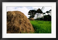 Framed Traditional windmill in a field, Tacumshane Windmill, Ireland