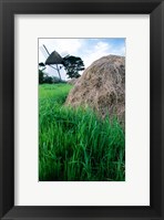 Framed Traditional windmill in a field, Tacumshane Windmill, Tacumshane, Ireland