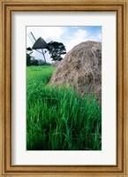 Framed Traditional windmill in a field, Tacumshane Windmill, Tacumshane, Ireland