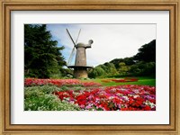 Framed Low angle view of a windmill in a park, Golden Gate Park, San Francisco, California, USA