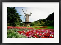 Framed Low angle view of a windmill in a park, Golden Gate Park, San Francisco, California, USA