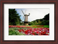 Framed Low angle view of a windmill in a park, Golden Gate Park, San Francisco, California, USA