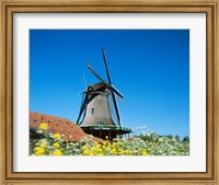 Framed Windmill, Zaanse Schans, Netherlands In Flowers