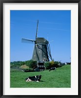 Framed Windmill and Cows, Wilsveen, Netherlands