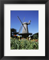 Framed Low angle view of a traditional windmill, Queen Wilhelmina Garden, Golden Gate Park, San Francisco, California, USA