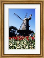 Framed Low angle view of a traditional windmill, Queen Wilhelmina Garden, Golden Gate Park, San Francisco, California, USA