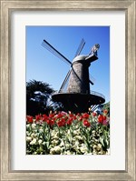 Framed Low angle view of a traditional windmill, Queen Wilhelmina Garden, Golden Gate Park, San Francisco, California, USA