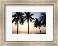 Framed Silhouette of palm trees on a beach during sunrise, Nha Trang Beach, Nha Trang, Vietnam