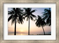 Framed Silhouette of palm trees on a beach during sunrise, Nha Trang Beach, Nha Trang, Vietnam