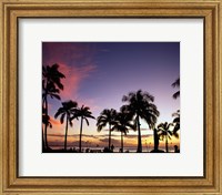 Framed Silhouette of palm trees on the beach, Waikiki Beach, Honolulu, Oahu, Hawaii, USA