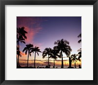 Framed Silhouette of palm trees on the beach, Waikiki Beach, Honolulu, Oahu, Hawaii, USA
