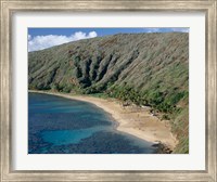 Framed High angle view of a bay, Hanauma Bay, Oahu, Hawaii, USA Landscape