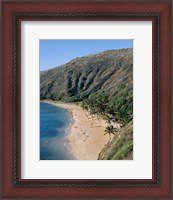 Framed High angle view of a bay, Hanauma Bay, Oahu, Hawaii, USA