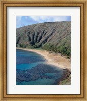 Framed High angle view of a bay, Hanauma Bay, Oahu, Hawaii, USA Vertical