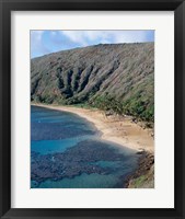 Framed High angle view of a bay, Hanauma Bay, Oahu, Hawaii, USA Vertical