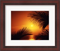 Framed Kihei Maui Hawaii USA