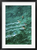 Framed Kanaha Beach Maui Hawaii USA