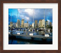 Framed Sailboats docked in a harbor, Ala Wai Marina, Waikiki Beach, Honolulu, Oahu, Hawaii, USA