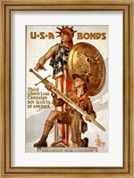 Framed USA Bonds