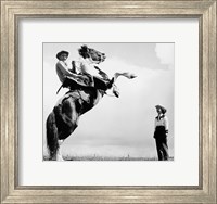 Framed Low angle view of a cowboy riding a bucking horse