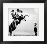 Framed Low angle view of a cowboy riding a bucking horse