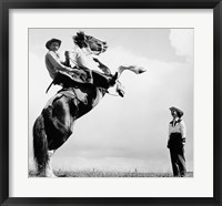 Framed Low angle view of a cowboy riding a bucking horse