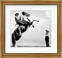 Framed Low angle view of a cowboy riding a bucking horse