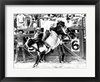 Framed Side profile of a cowboy riding a bull at a rodeo