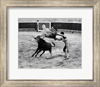 Framed Matador fighting with a bull