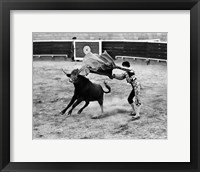 Framed Matador fighting with a bull