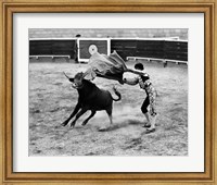 Framed Matador fighting with a bull