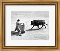 Framed High angle view of a bullfighter with a bull in a bullring, Madrid, Spain