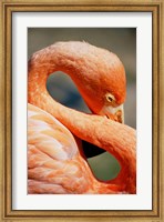 Framed Flamingo Neck