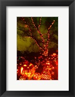 Framed Jack o' lanterns lit up at night, Roger Williams Park Zoo, Providence, Rhode Island, USA