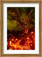 Framed Jack o' lanterns lit up at night, Roger Williams Park Zoo, Providence, Rhode Island, USA