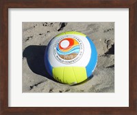 Framed Beach Volleyball Ball