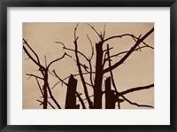 Perched and Sat and Nothing More II Framed Print