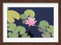 Framed Lotus Eaters I