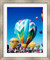 Framed Hot air balloons taking off, Albuquerque International Balloon Fiesta, New Mexico