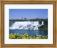 Framed Flowers in front of a waterfall, American Falls, Niagara Falls, New York, USA